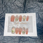 温柔粉嫩跳色郁金香124
